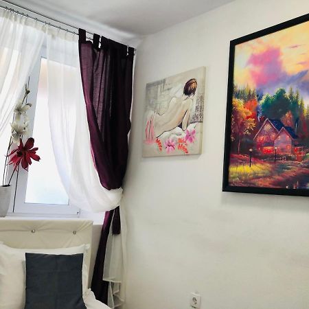 Central Petit Room Брашов Экстерьер фото